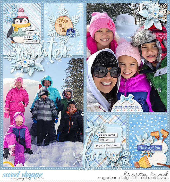 SSD-KL-2017_02-ArnoldSnowTrip1