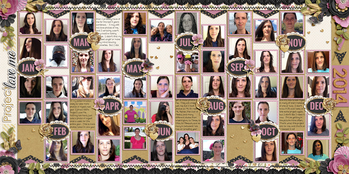 SSD project love me 2014