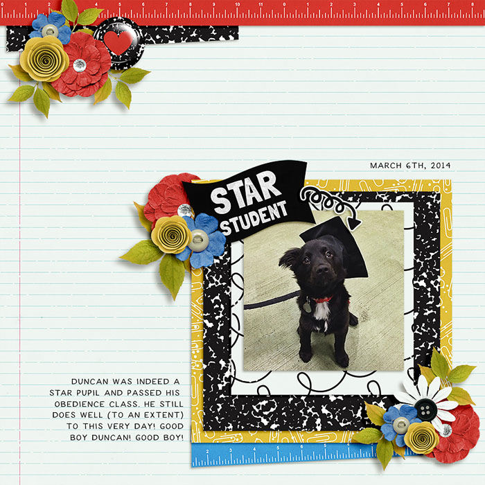 Star Pupil
