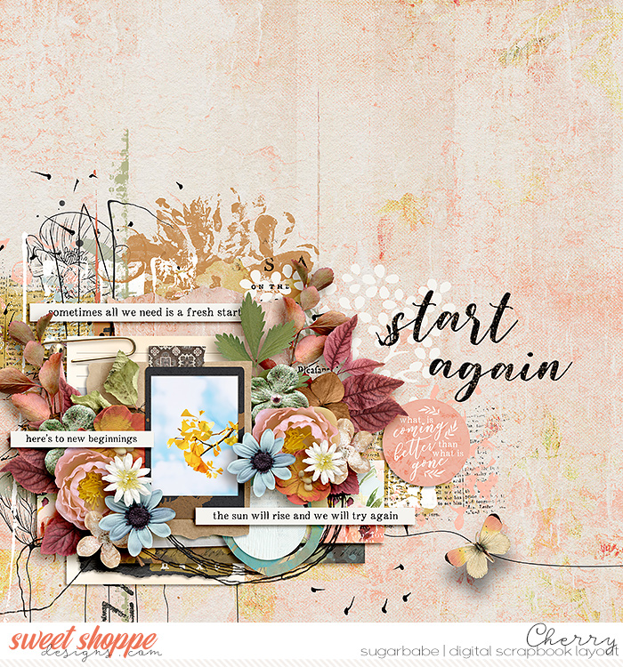 Start Again
