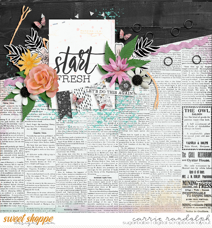 Start Fresh