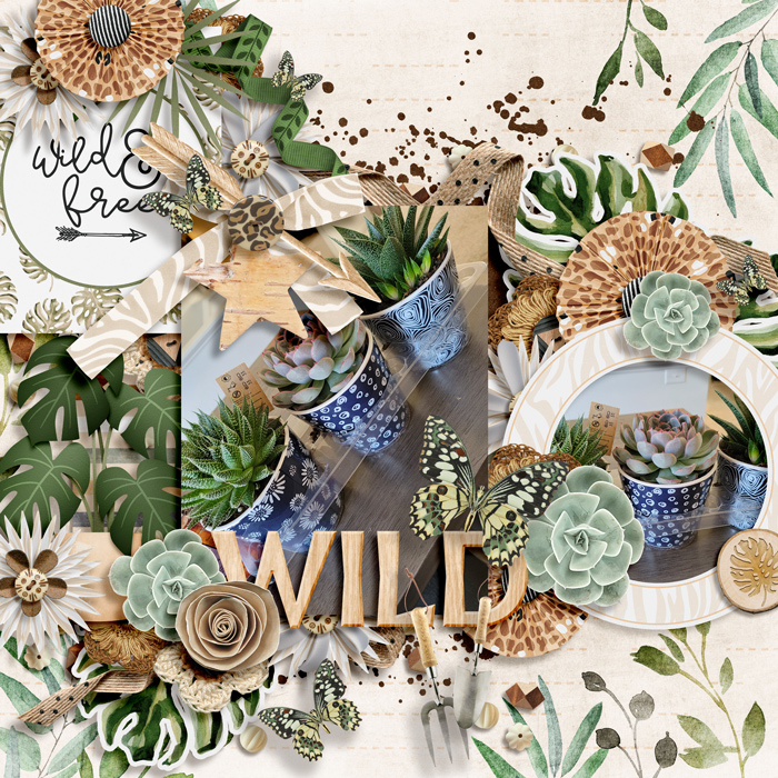 stay wild