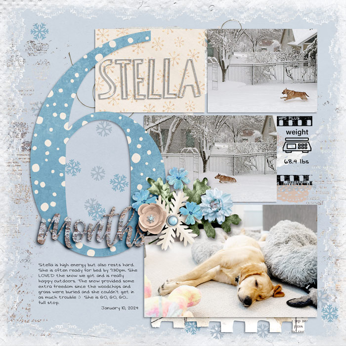 Stella 6 months
