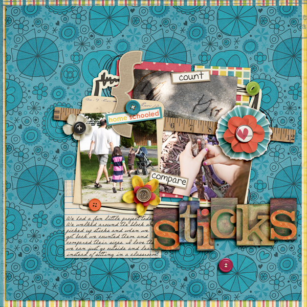 Sticks