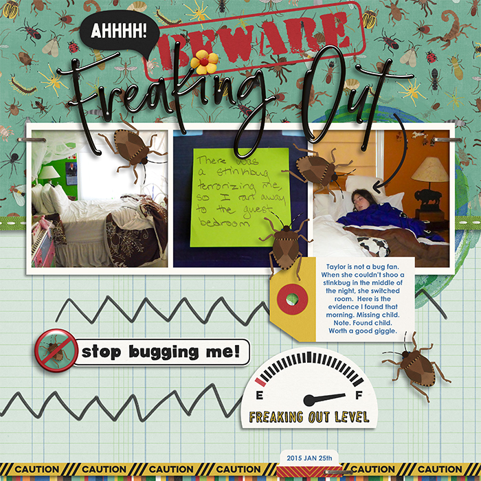 Stinkbug Freakout