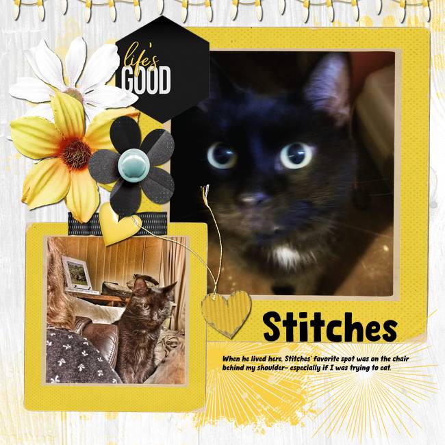 Stitches