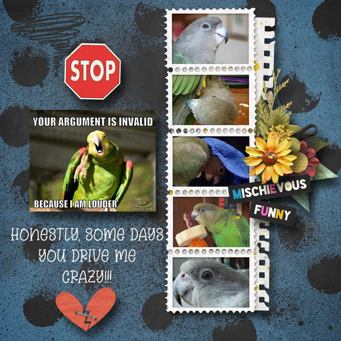 Stop!