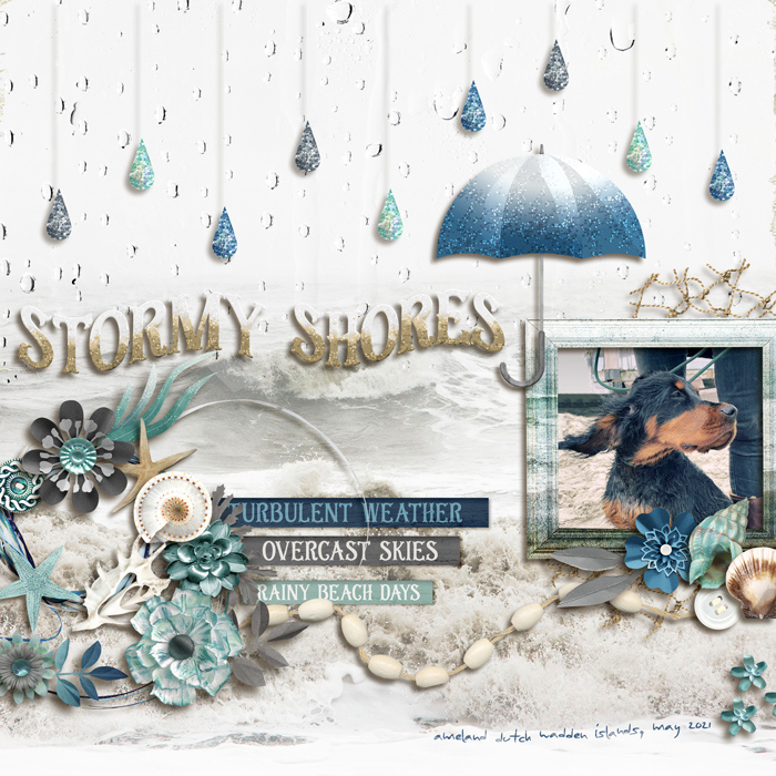 Stormy Shores