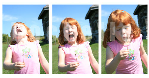 Storyboard