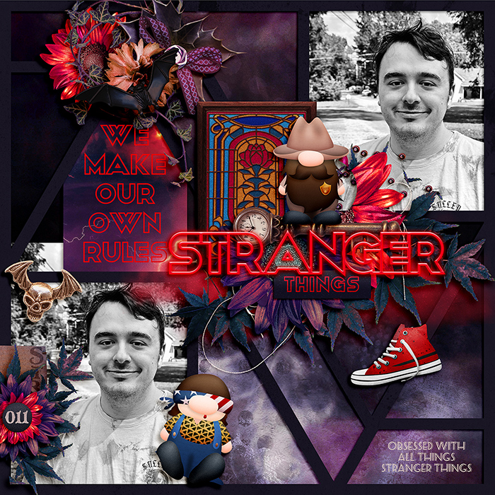 Stranger Things Fanatic
