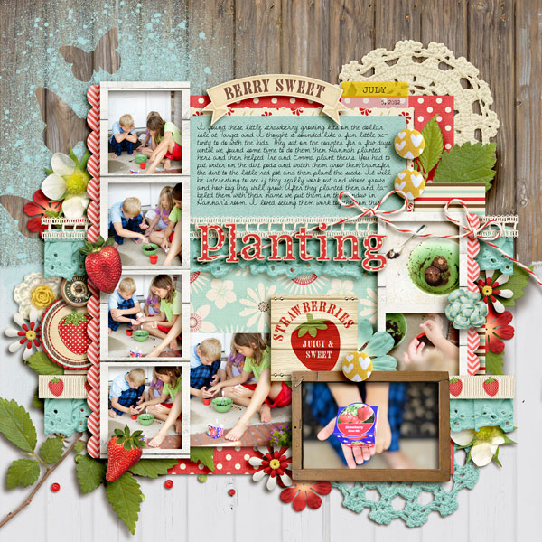 Strawberry Planting