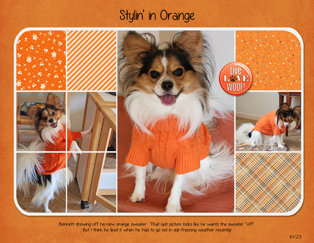 Stylin' in Orange