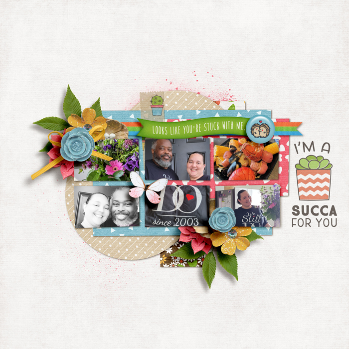 Succa for You