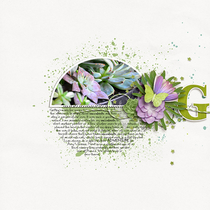 Succulents