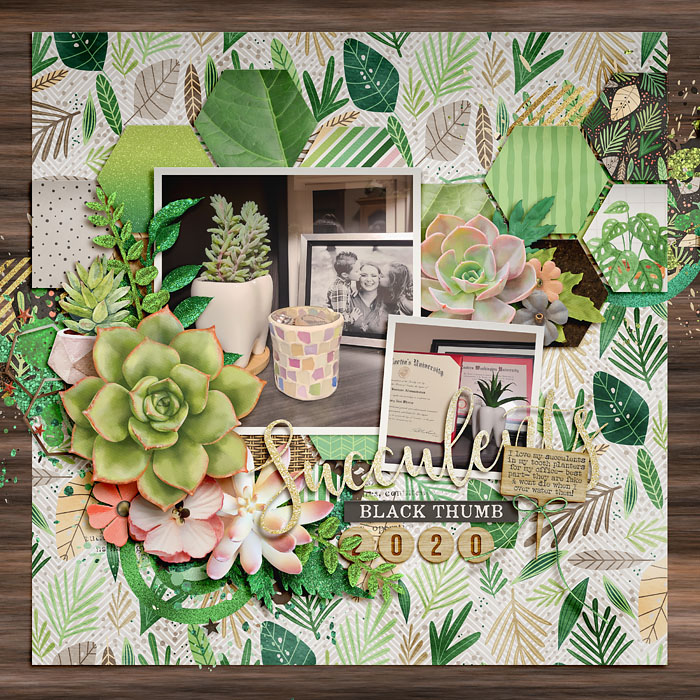 Succulents