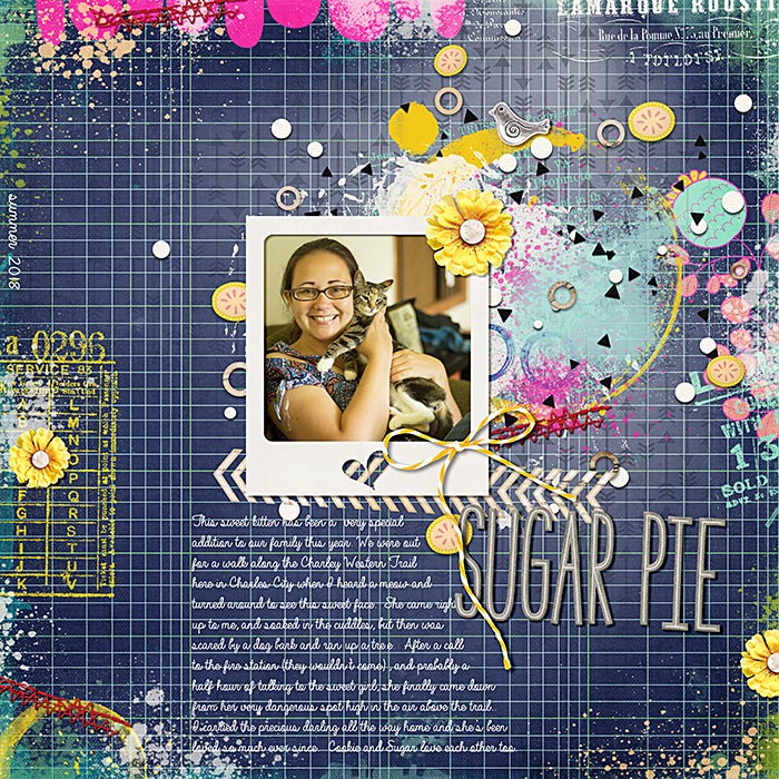 Sugar Cookie