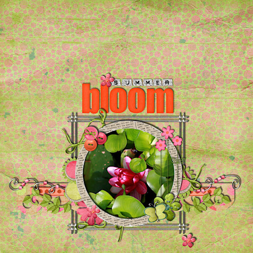 Summer Bloom