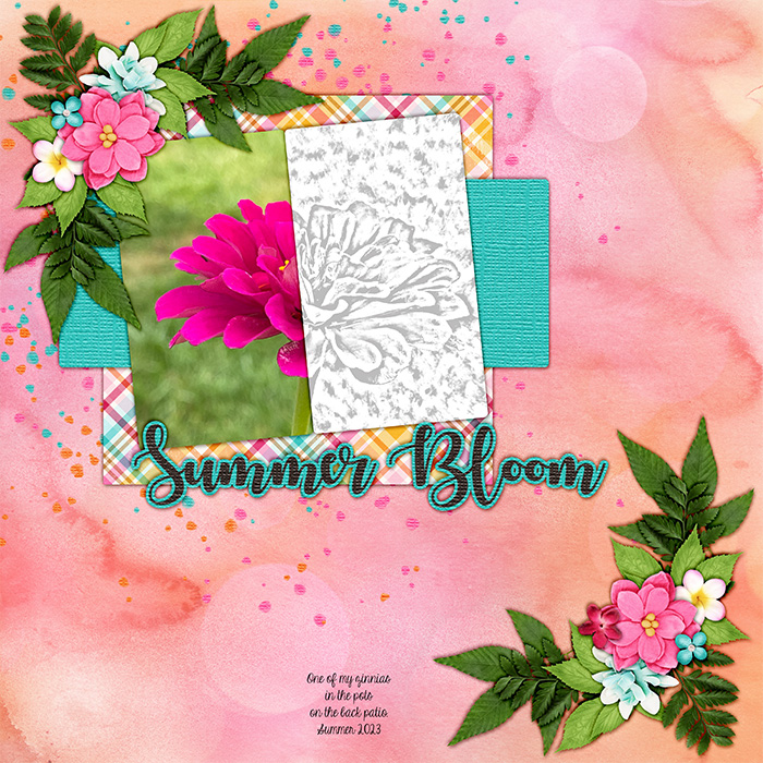 Summer Bloom
