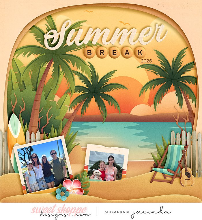 Summer Break (album cover)