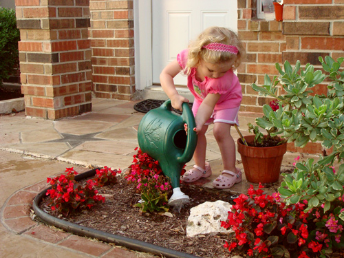 Summer Fun- shutterbug shakedown