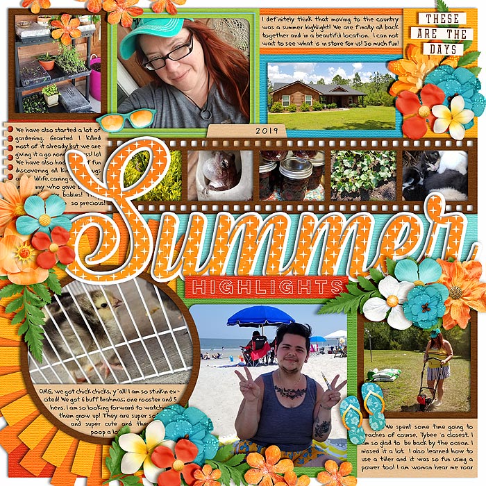 Summer Highlights 2019