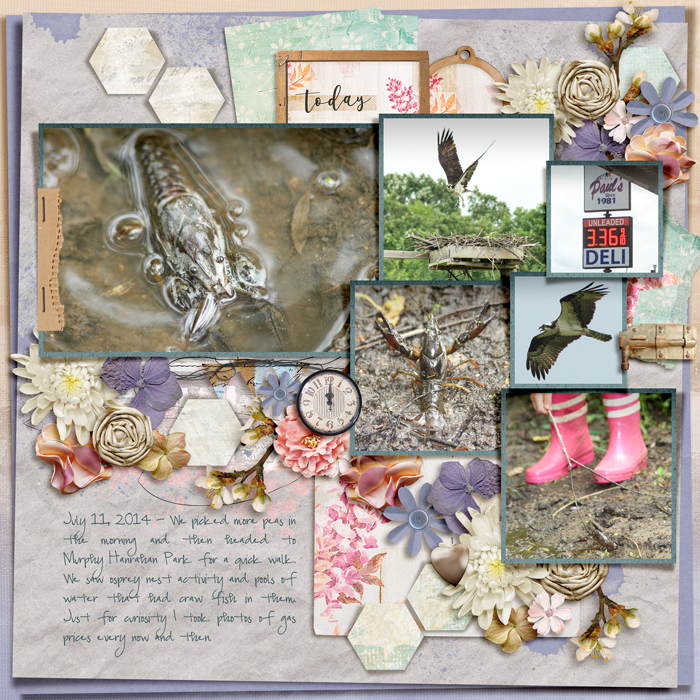 summer hikes
