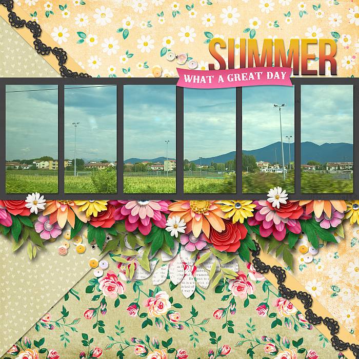 Summer morning