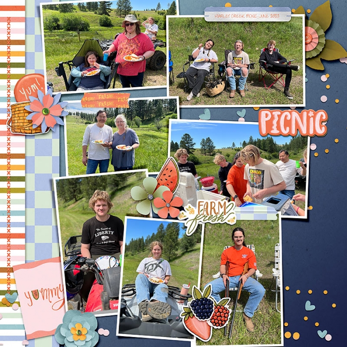 Summer Picnic