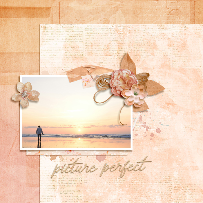 Summer Shadowbox - August 23rd