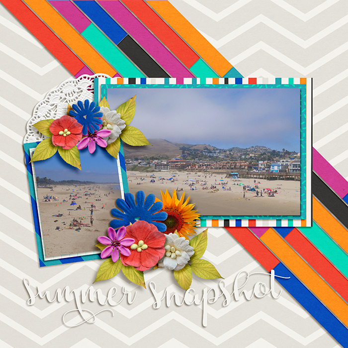 Summer Snapshot