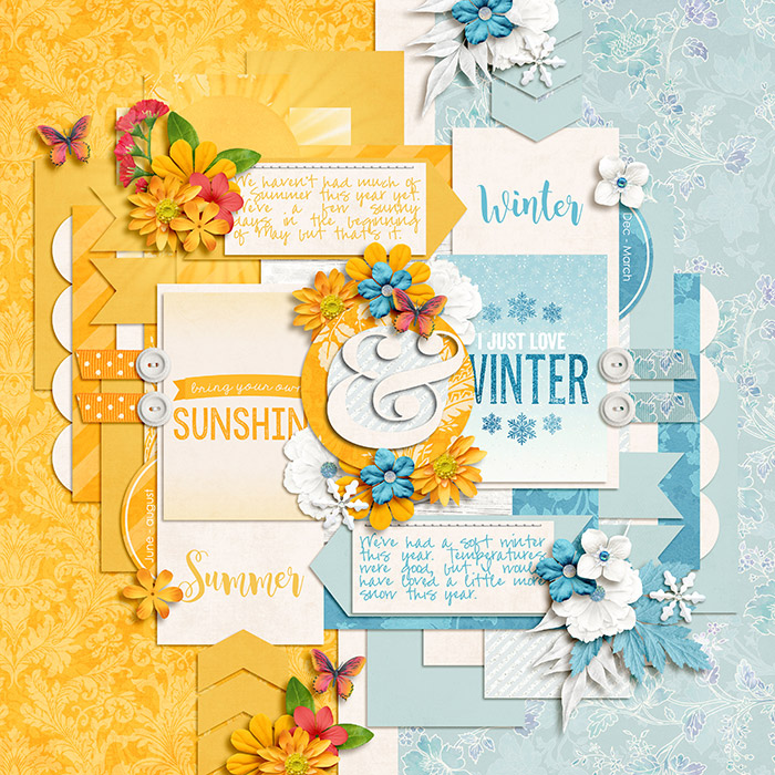 Summer & Winter