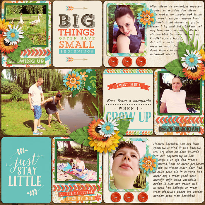summerfeeling2-small
