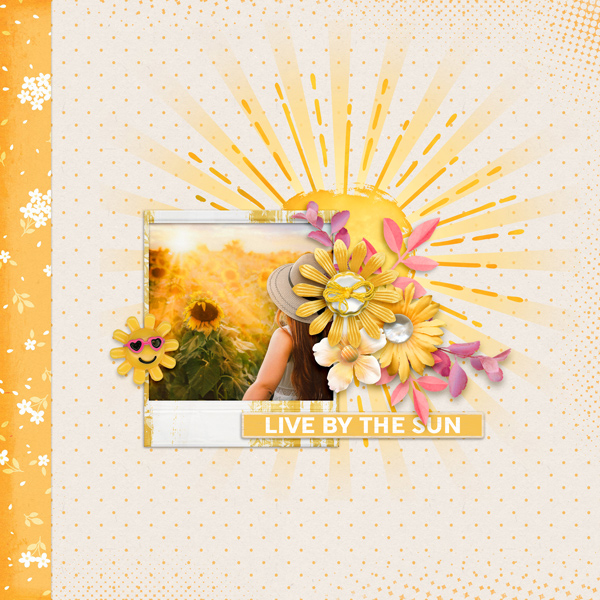 Summers.Sunrays.Sunflowers.