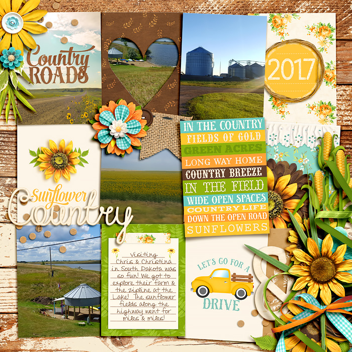 Sunflower Country