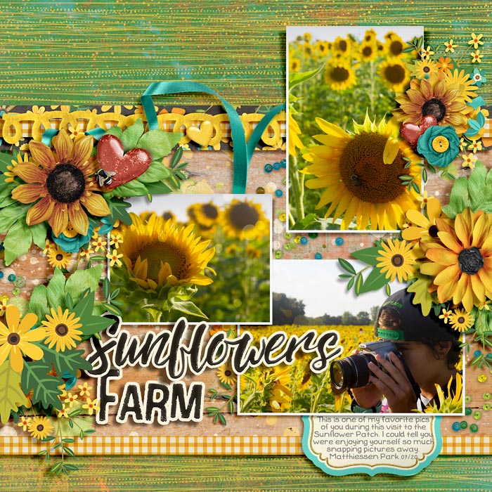 Sunflower Farm - Currently Challenge