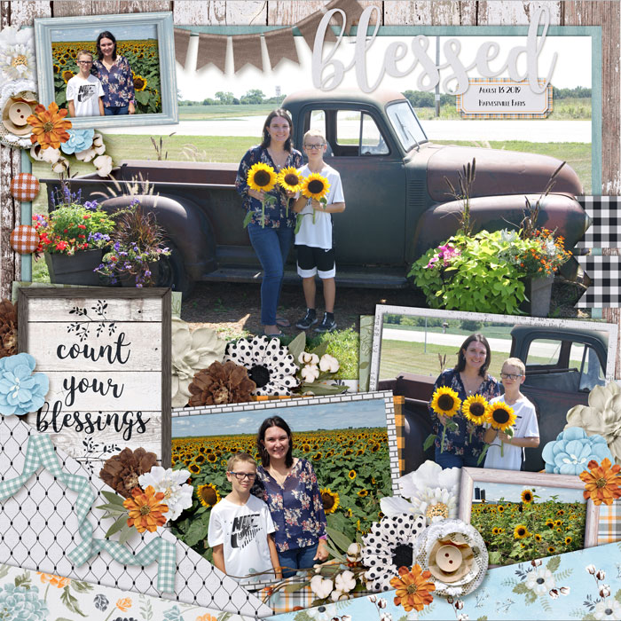 Sunflower Festival