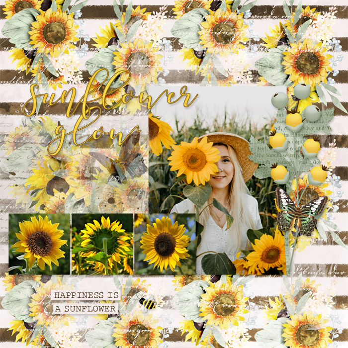 Sunflower Glow