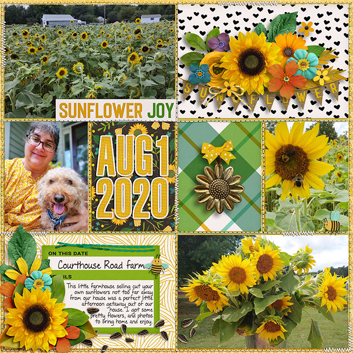 Sunflower Joy