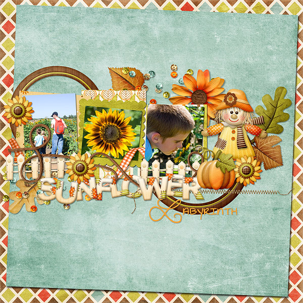 Sunflower Labyrinth