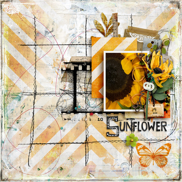 Sunflower