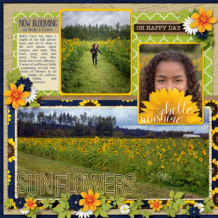 Sunflowers 1