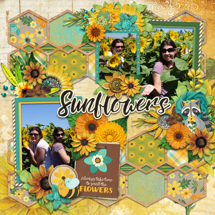 Sunflowers