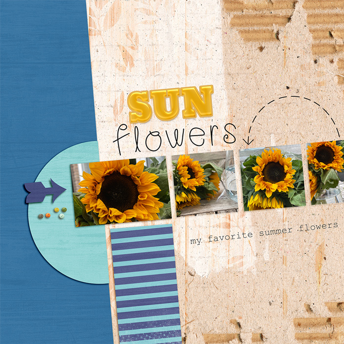 sunflowers
