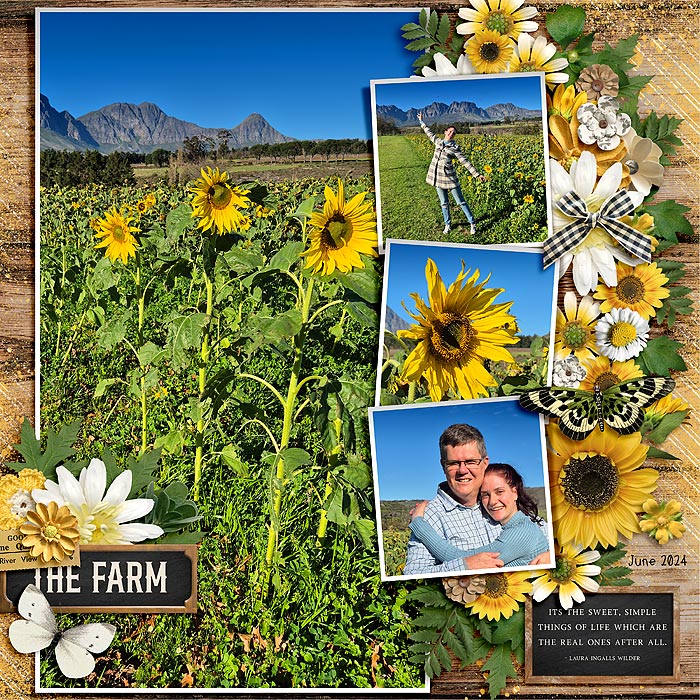 Sunflowers