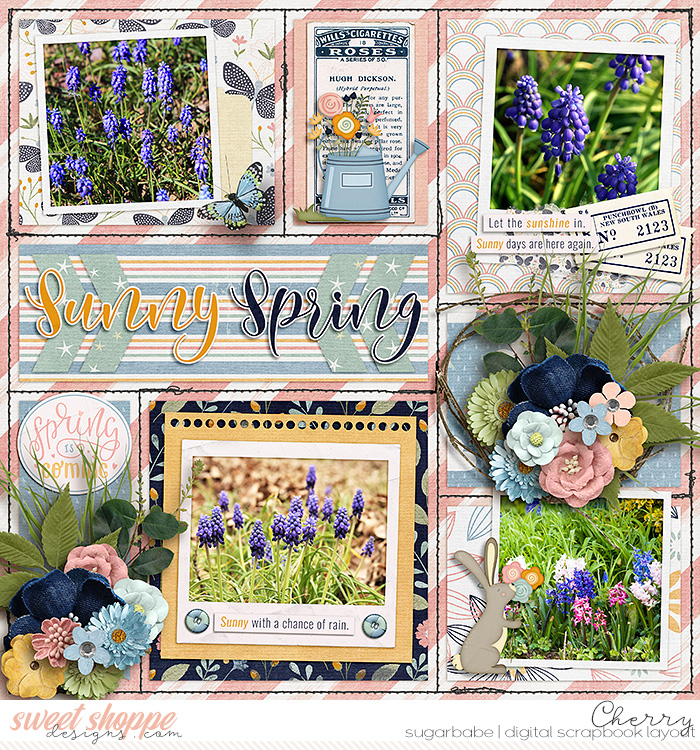 Sunny Spring