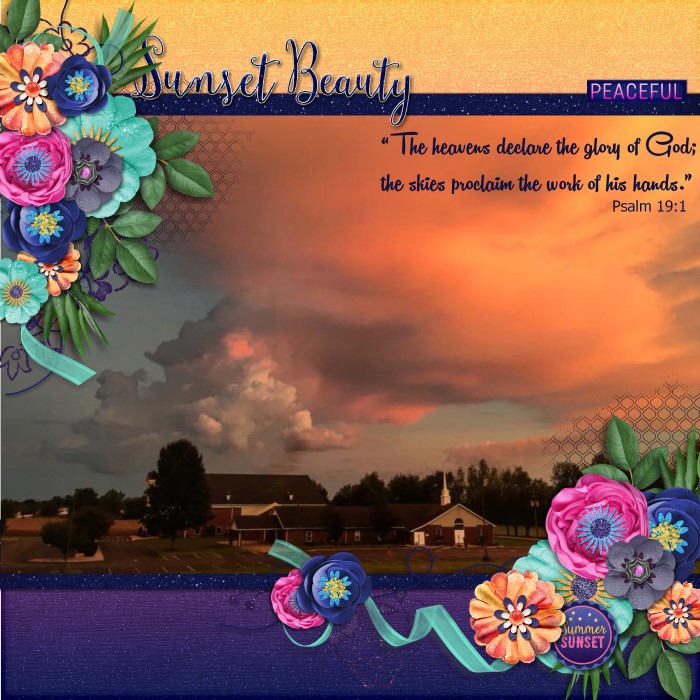 Sunset Beauty