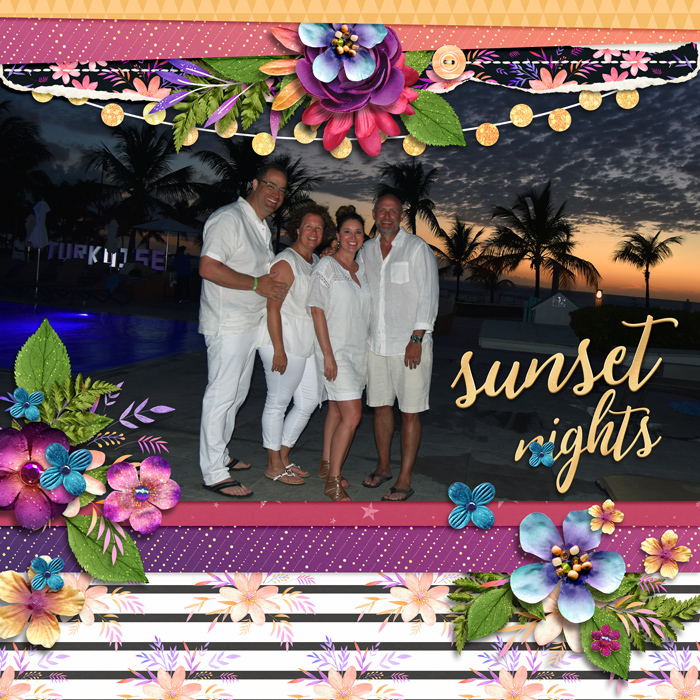 Sunset Nights