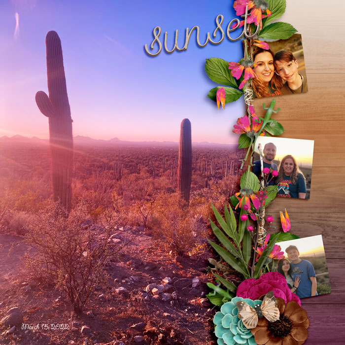 Sunset Saguaro