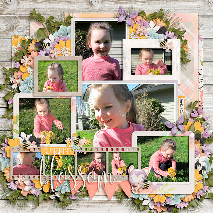 Sunshine Blossom