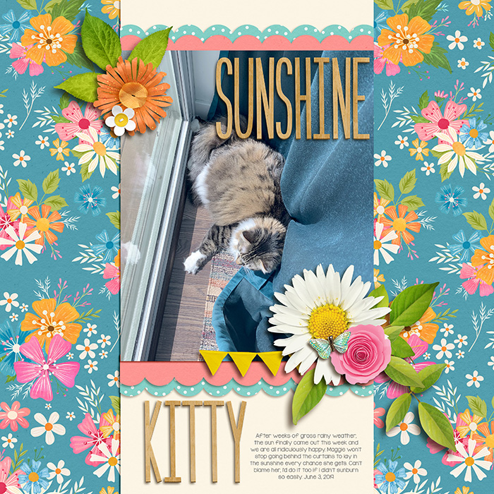 Sunshine Kitty
